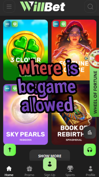 Where is BC.Game Allowed? Permitted Locations-vz72fvrf.com
